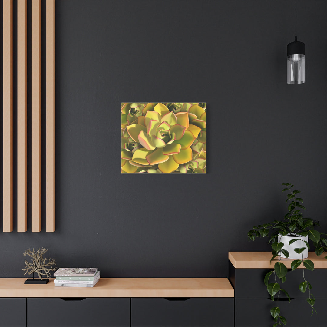 Succulent Canvas Art Vibrant Aeonium Print On Matte Canvas Wall Decor 12x18 Inches Indoor Home