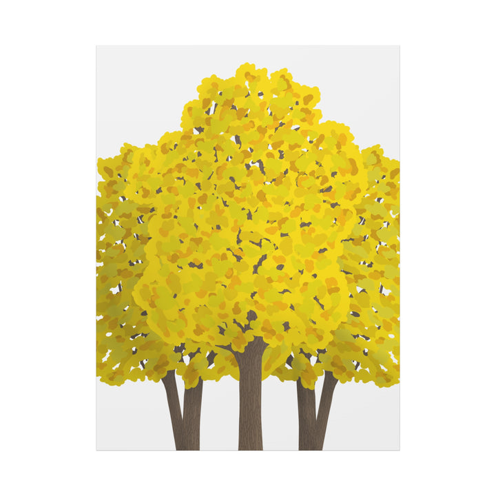 Big Leaf Maple Canvas Print – Wall Art