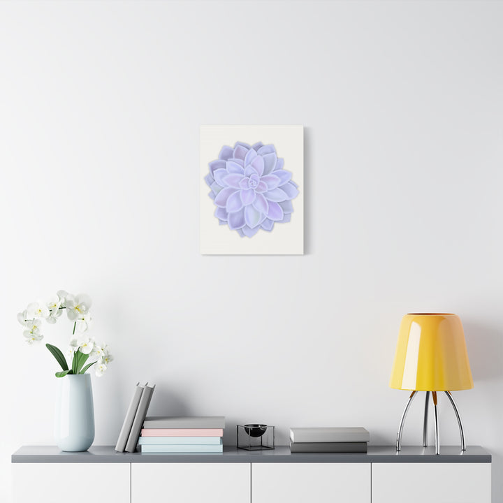 Succulent Canvas Art Pastel Rosette Canvas Durable Cotton Print Botanical Wall Art