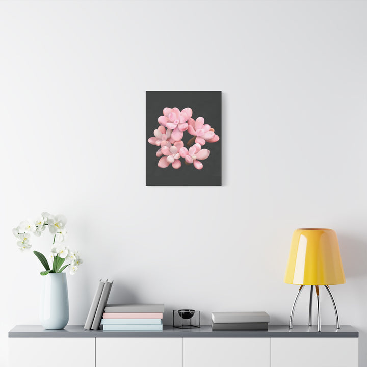 Pink Moonstone Canvas Print – Botanical Wall Art