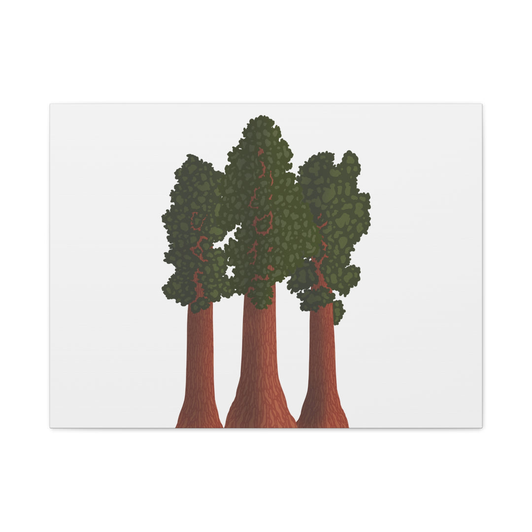 Giant Sequoias Canvas Print – Wall Art