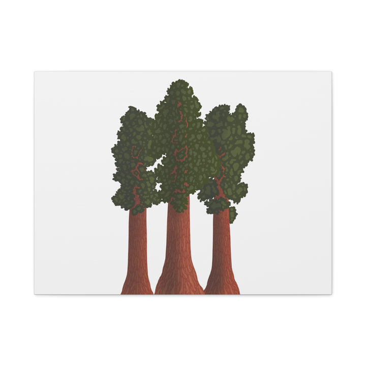 Giant Sequoias Canvas Print – Wall Art