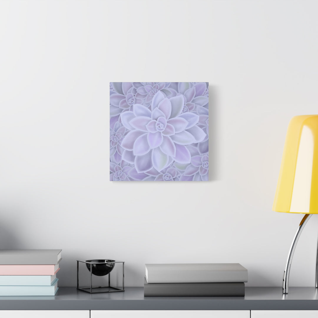 Graptopetalum Murasaki Succulent Canvas Art Print Pastel Purple Rosette Indoor Plant Decor