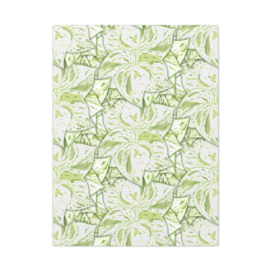 Snow Queen Pothos Canvas Print With Variegated White Leaves In Matte Finish For Modern Home Decor