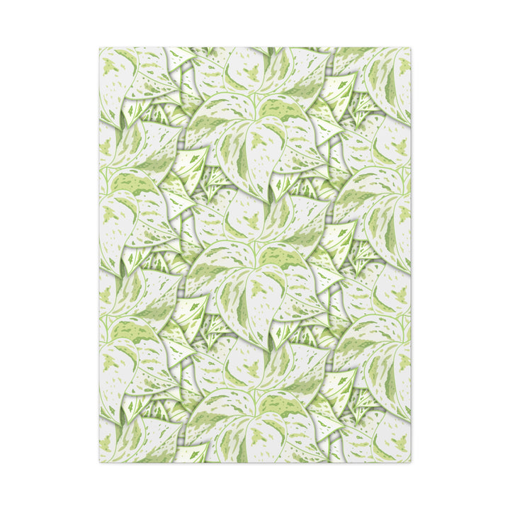 Snow Queen Pothos Canvas Print With Variegated White Leaves In Matte Finish For Modern Home Decor