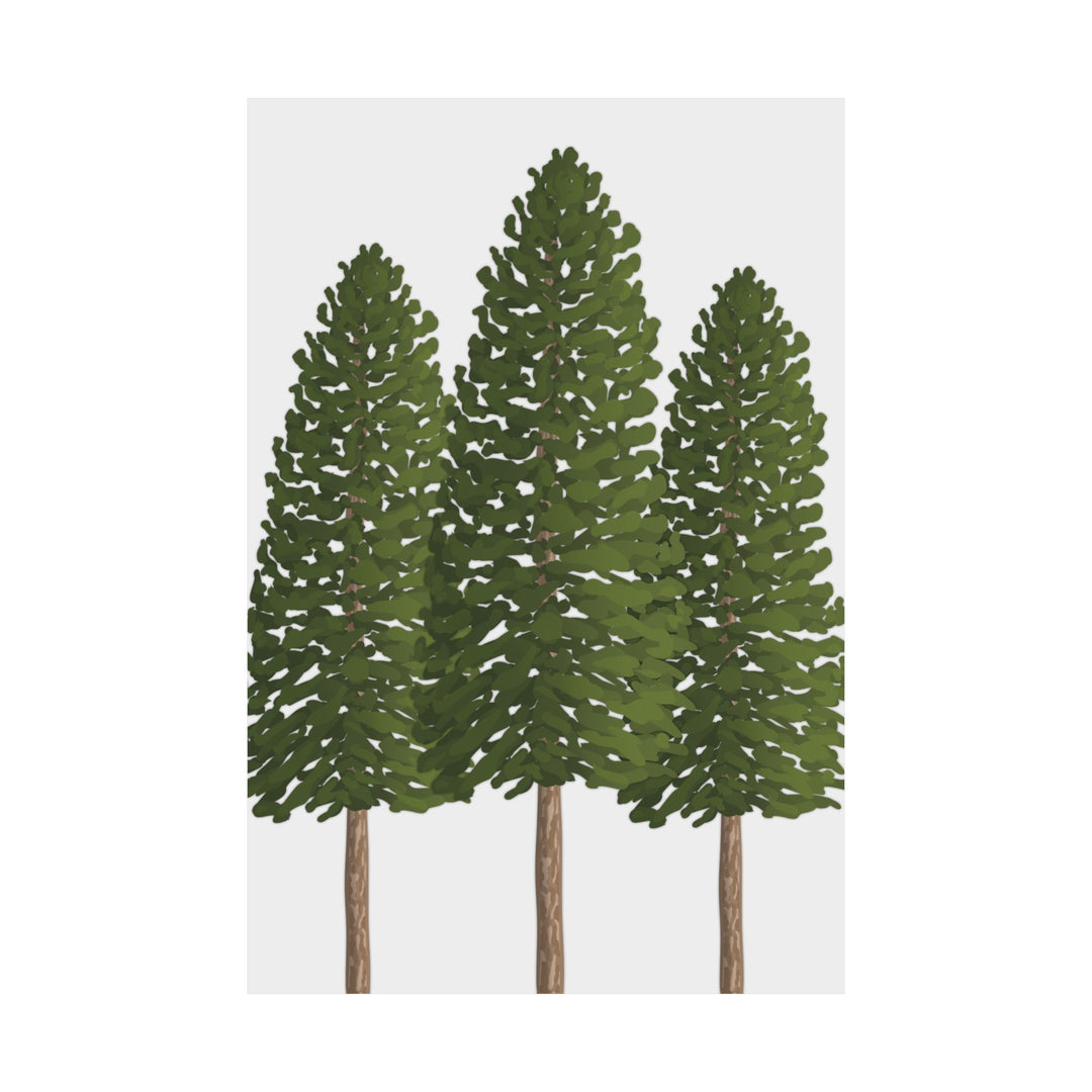 Ponderosa Pine Print – Unframed Wall Art