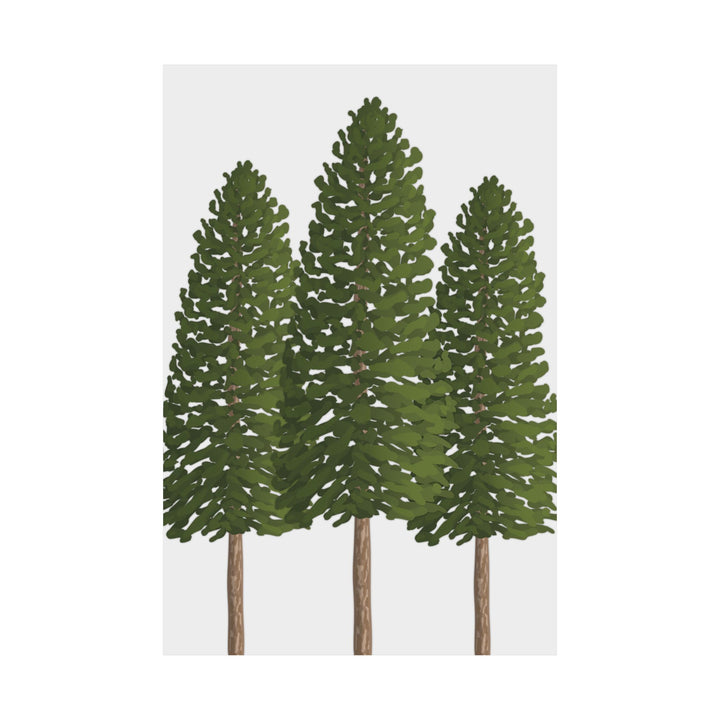 Ponderosa Pine Print – Unframed Wall Art