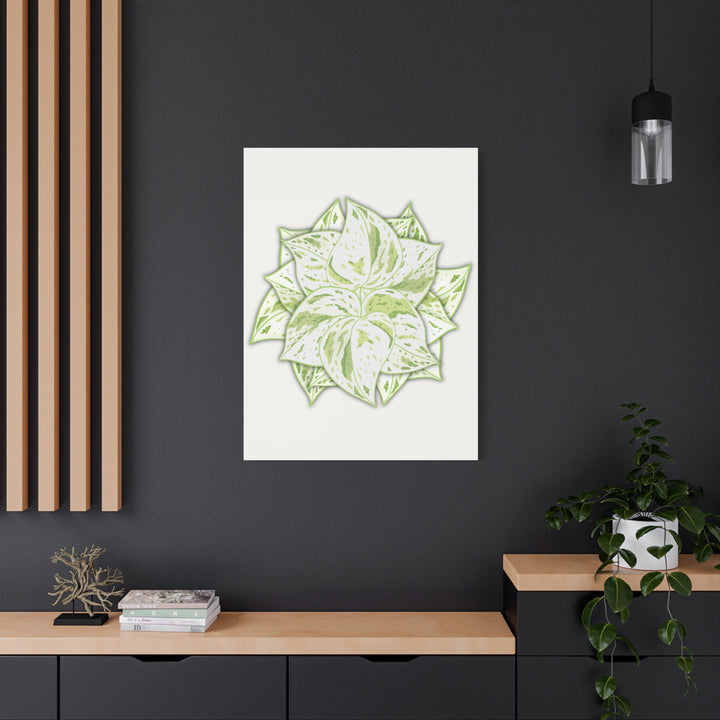 Snow Queen Pothos Canvas Wall Art Variegated Indoor Plant Leaf Poster Print Cotton Canvas