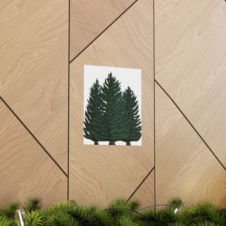 Douglas Fir Print – Unframed Wall Art