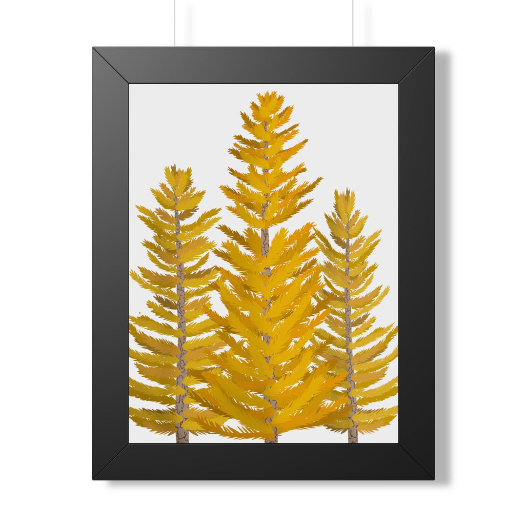 Western Larch Framed Print – Wall Art