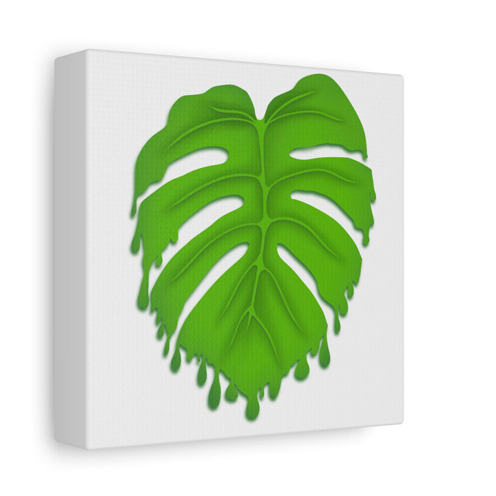 Melting Monstera Canvas Wall Art Large Botanical Print On Premium Cotton With Matte Finish For Indoor Decor