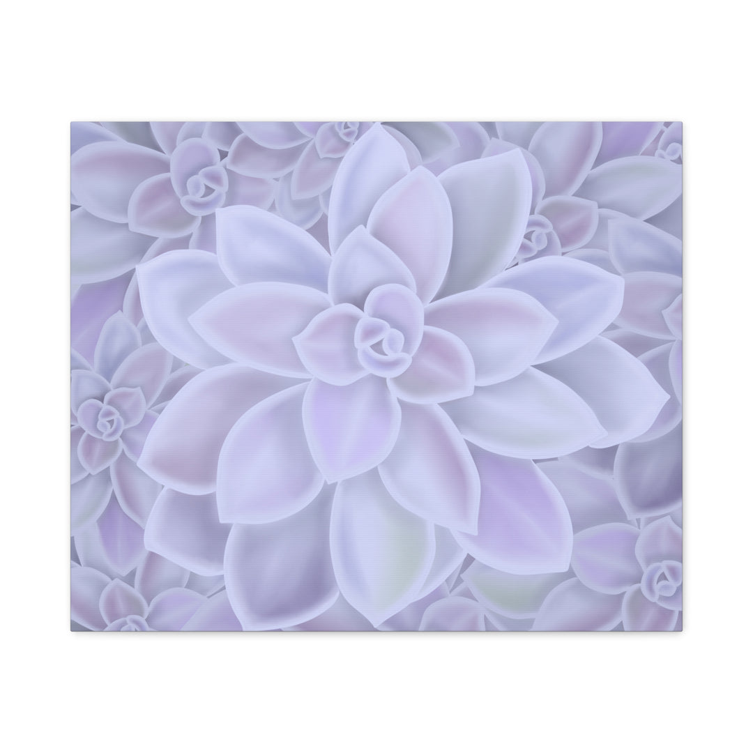 Graptopetalum Murasaki Succulent Canvas Art Print Pastel Purple Rosette Indoor Plant Decor