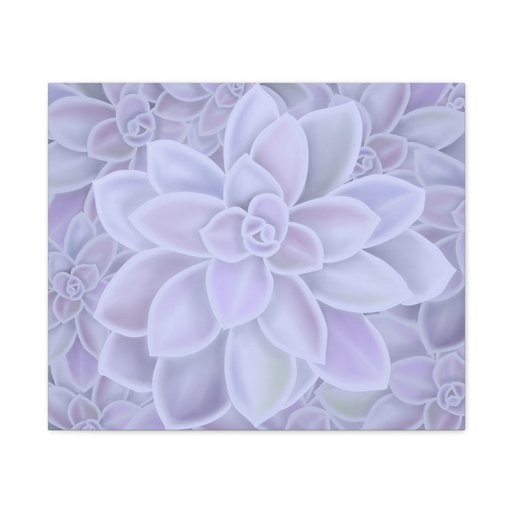 Graptopetalum Murasaki Succulent Canvas Art Print Pastel Purple Rosette Indoor Plant Decor