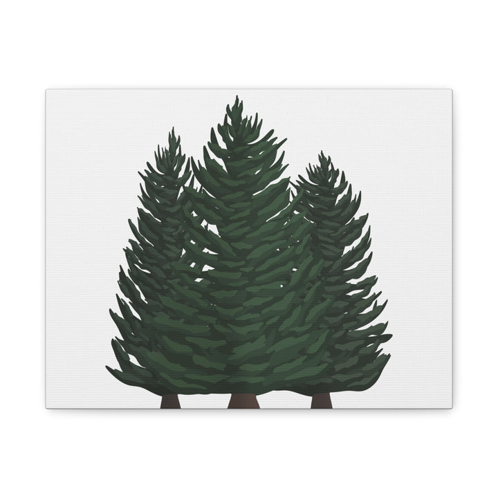 Douglas Fir Canvas Print – Wall Art
