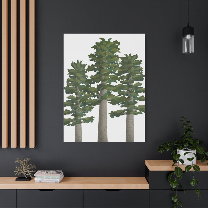 Sitka Spruce Canvas Print – Wall Art