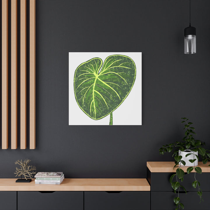 Philodendron Gloriosum Canvas Print Stretched Wall Art Botanical Leaf Print Matte Finish Gallery Wrapped Canvas