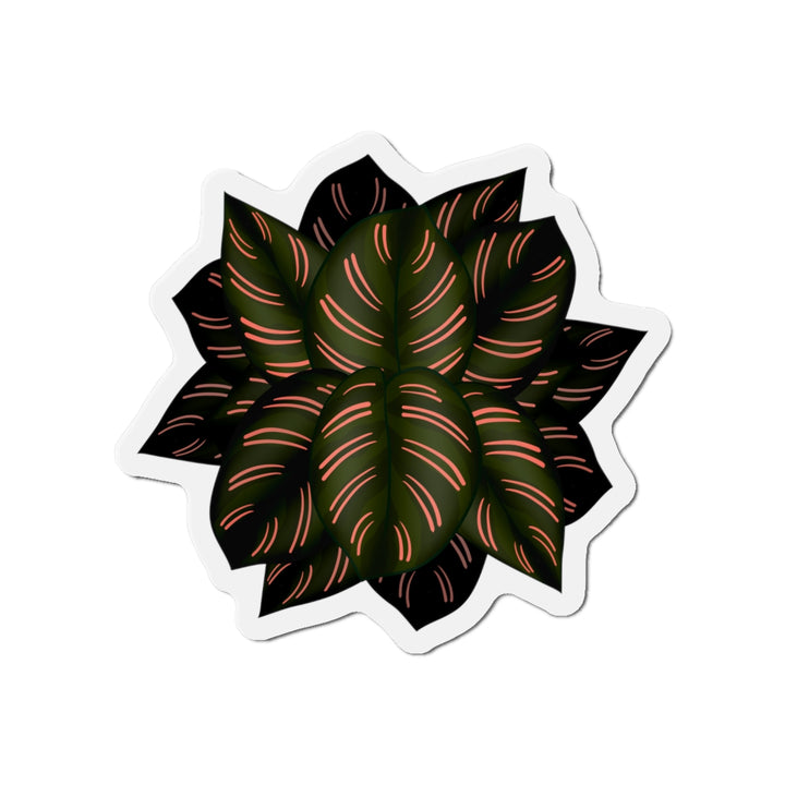 Calathea Pinstripe Magnet