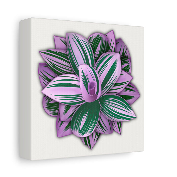 Tradescantia Nanouk Canvas Botanical Wall Art Print Pink Green Foliage On Stretched Cotton Canvas