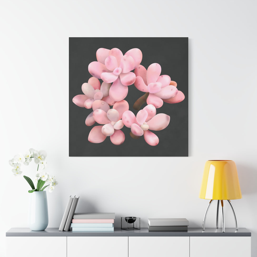 Pink Moonstone Canvas Print – Botanical Wall Art