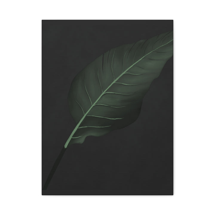 Bird of Paradise Canvas Print – Botanical Wall Art