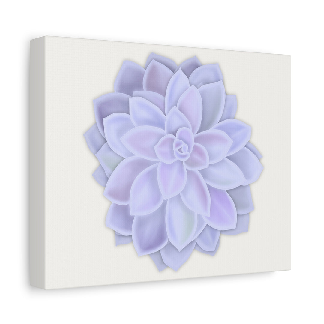 Succulent Canvas Art Pastel Rosette Canvas Durable Cotton Print Botanical Wall Art