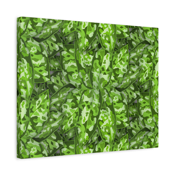 Aglaonema Pictum Canvas Wall Art Rare Plant Print Matte Finish For Modern Home Decor