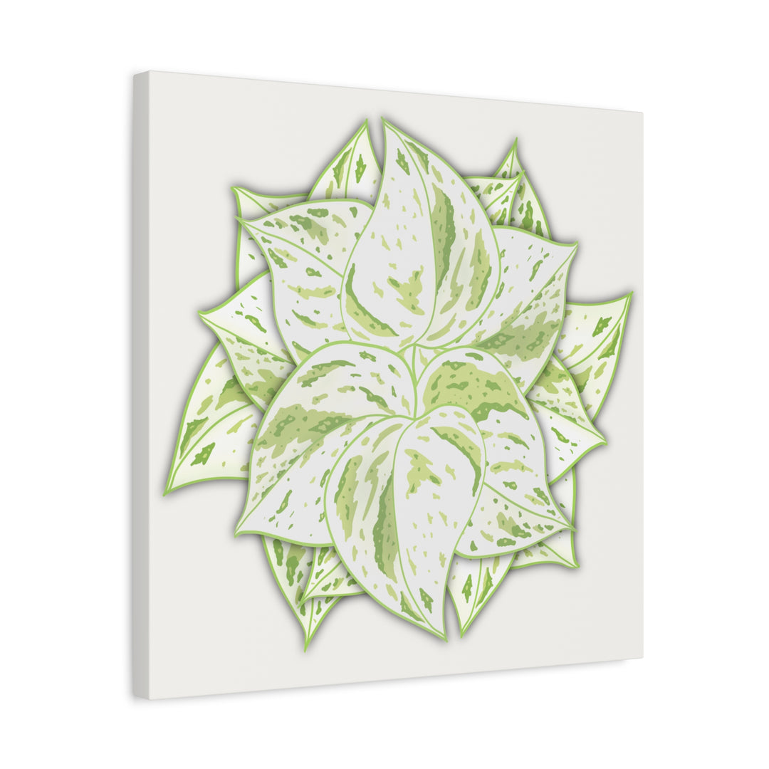 Snow Queen Pothos Canvas Wall Art Variegated Indoor Plant Leaf Poster Print Cotton Canvas