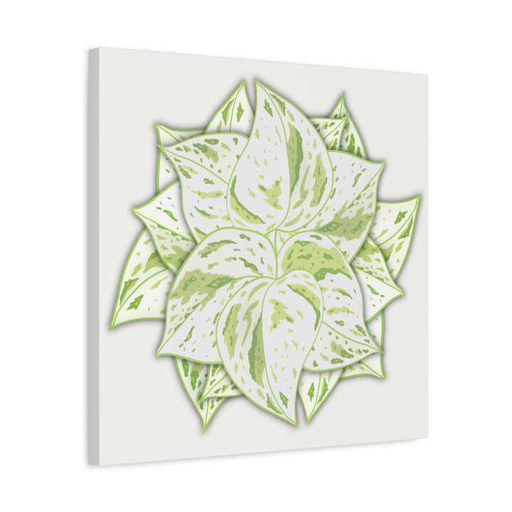 Snow Queen Pothos Canvas Wall Art Variegated Indoor Plant Leaf Poster Print Cotton Canvas