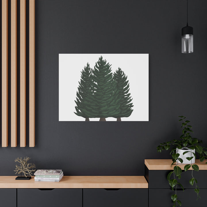 Douglas Fir Canvas Print – Wall Art