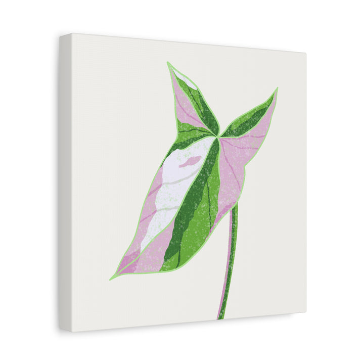 Syngonium Tricolor Canvas Print – Botanical Wall Art - The Potted Pixel