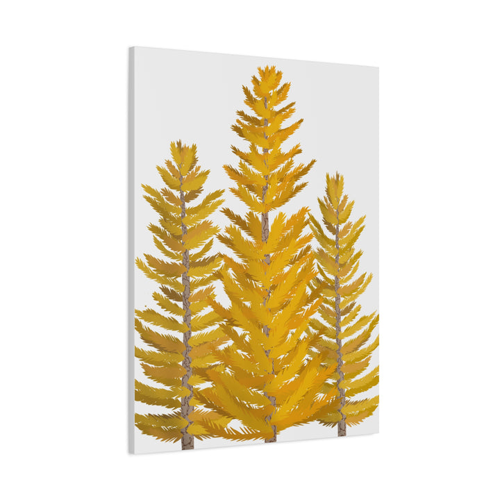 Western Larch Canvas Print – Wall Art