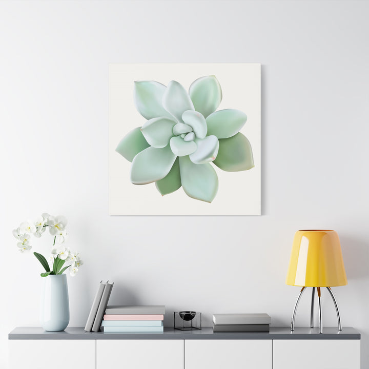 Succulent Canvas Art Pachyveria Haagei Print On Matte Finish Canvas Botanical Wall Decor