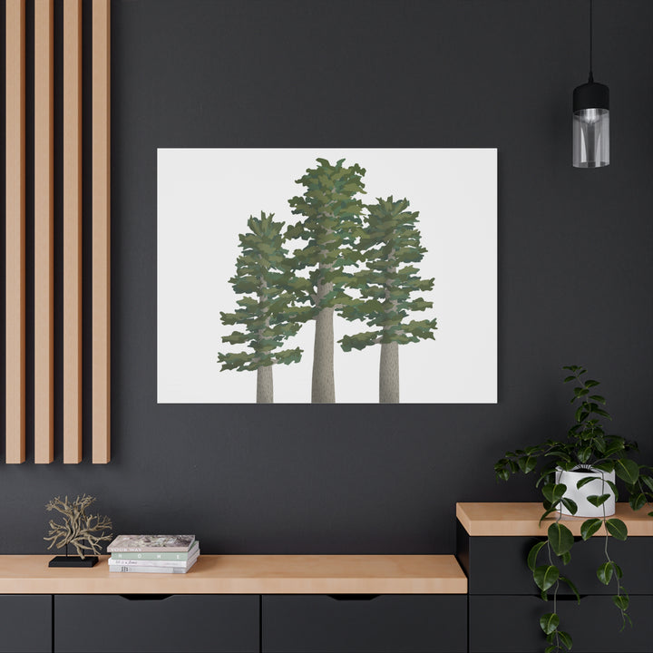 Sitka Spruce Canvas Print – Wall Art