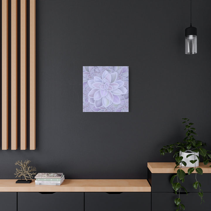 Graptopetalum Murasaki Succulent Canvas Art Print Pastel Purple Rosette Indoor Plant Decor