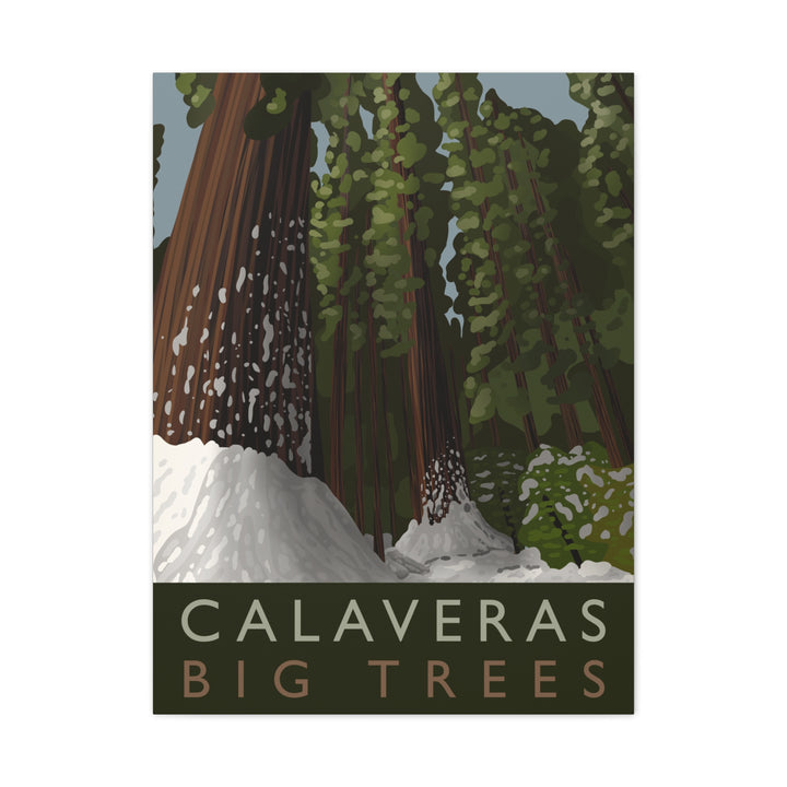 Calaveras Big Trees Canvas Print – Wall Art