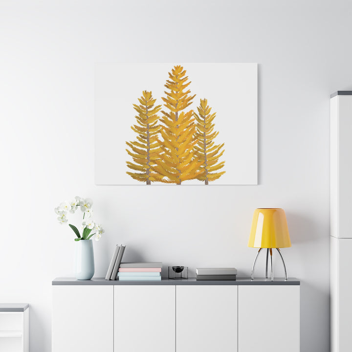 Western Larch Canvas Print – Wall Art