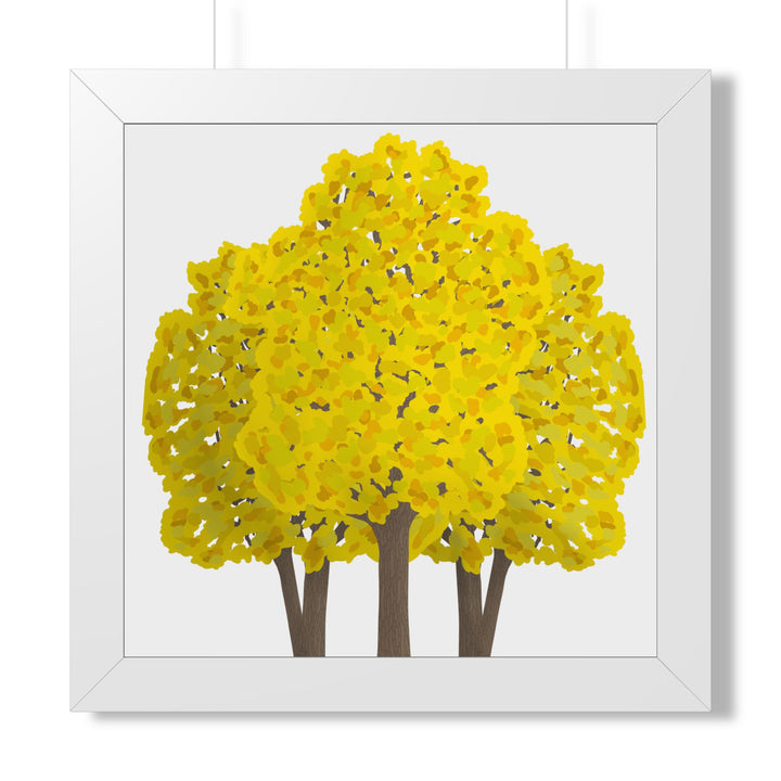 Big Leaf Maple Framed Print – Wall Art