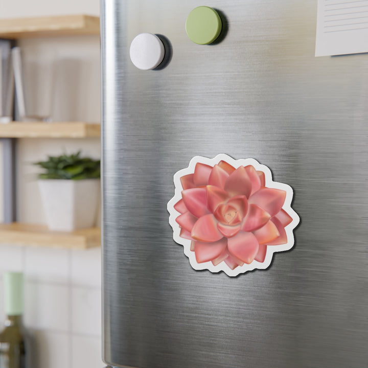Graptosedum California Sunset Succulent Magnet