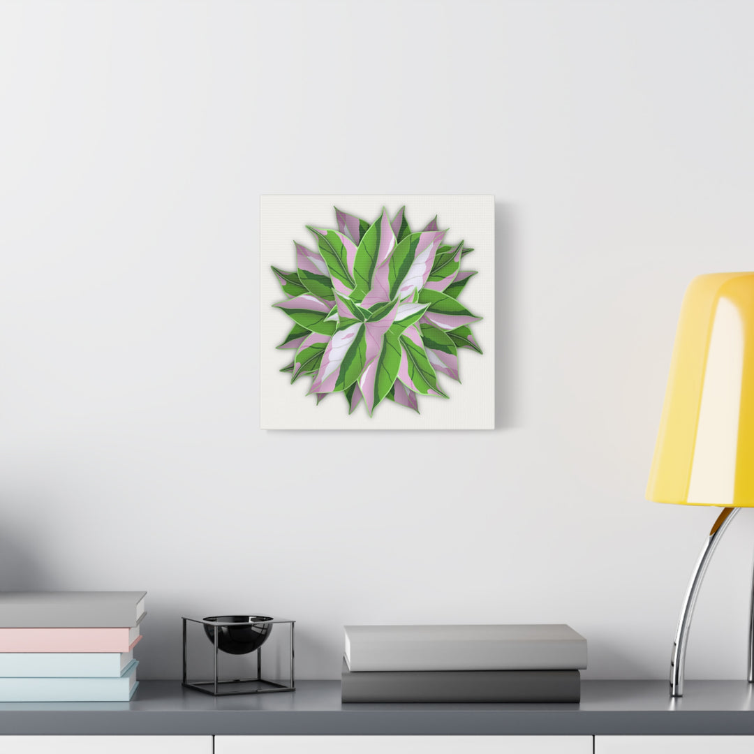 Syngonium Tricolor Canvas Print – Botanical Wall Art - The Potted Pixel