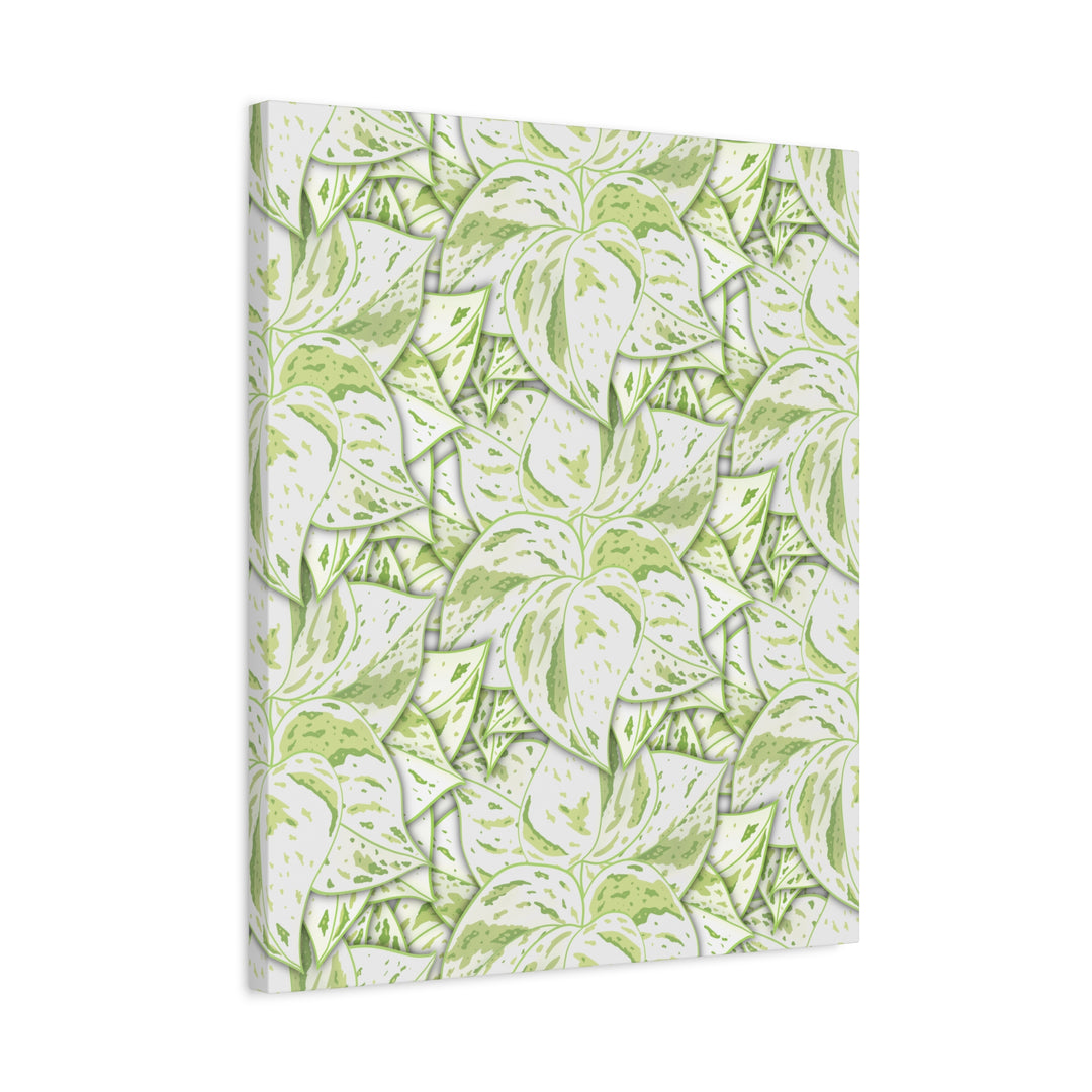 Snow Queen Pothos Canvas Print With Variegated White Leaves In Matte Finish For Modern Home Decor