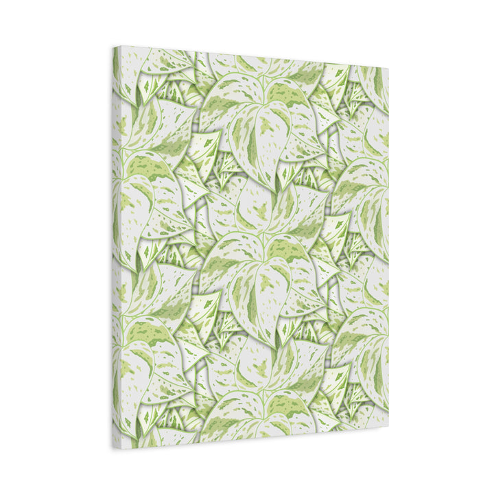 Snow Queen Pothos Canvas Print With Variegated White Leaves In Matte Finish For Modern Home Decor