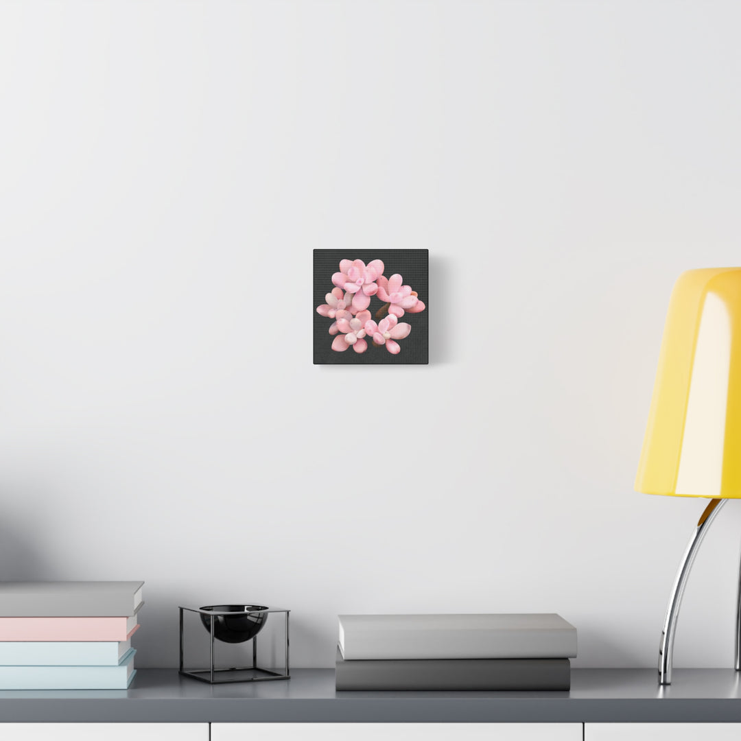 Pink Moonstone Canvas Print – Botanical Wall Art