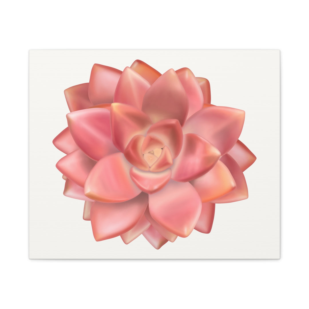 Succulent Canvas Art California Sunset Rosette Botanical Wall Art Print The Potted Pixel