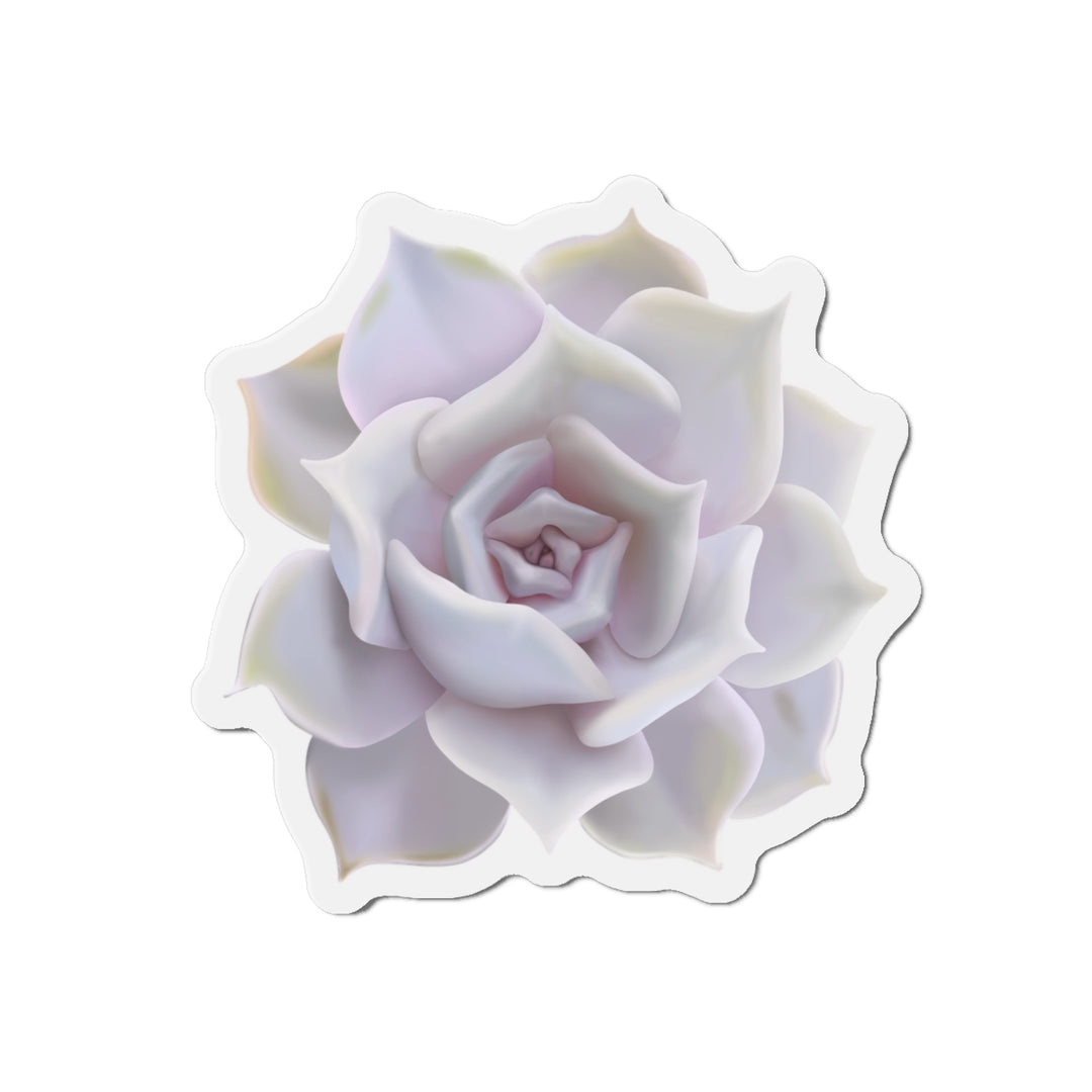 Echeveria Lilacina Succulent Magnet