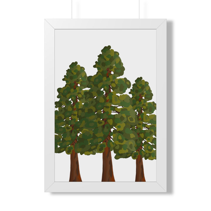 Coastal Redwood Framed Print – Wall Art