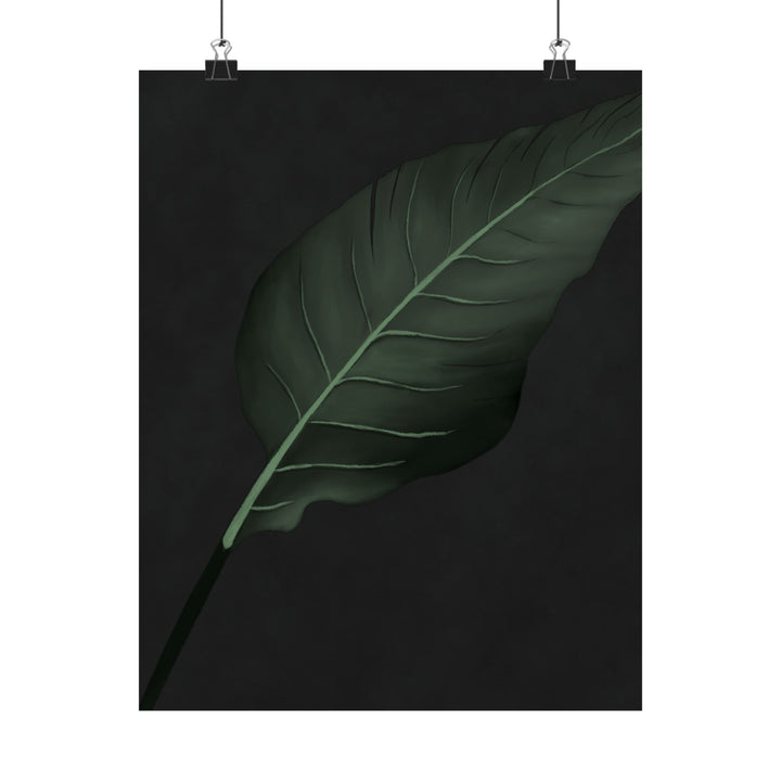 Bird of Paradise Botanical Print – Unframed Wall Art