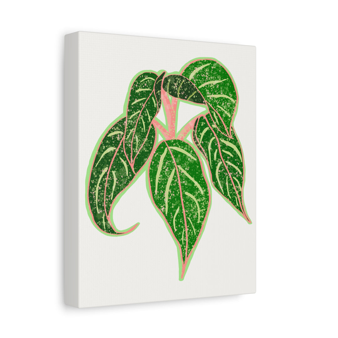 Aglaonema Sparkling Sarah Botanical Canvas Print On Matte Stretch Canvas For Modern Living Room Decor