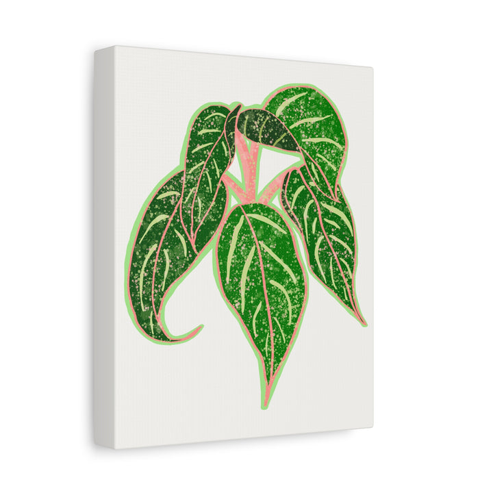 Aglaonema Sparkling Sarah Botanical Canvas Print On Matte Stretch Canvas For Modern Living Room Decor