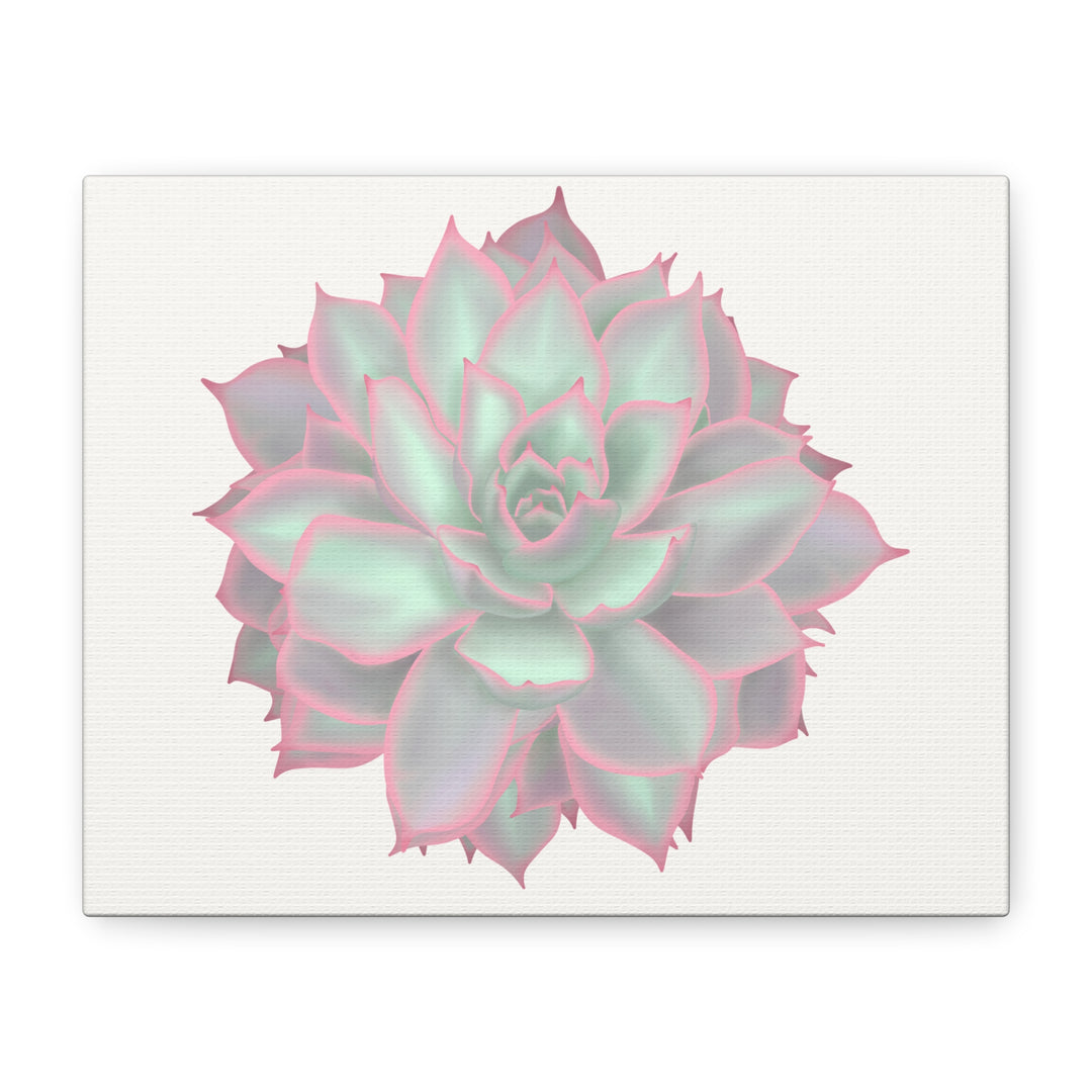 Echeveria Violet Queen Canvas Wall Art Rosette Succulent Print With Matte Finish