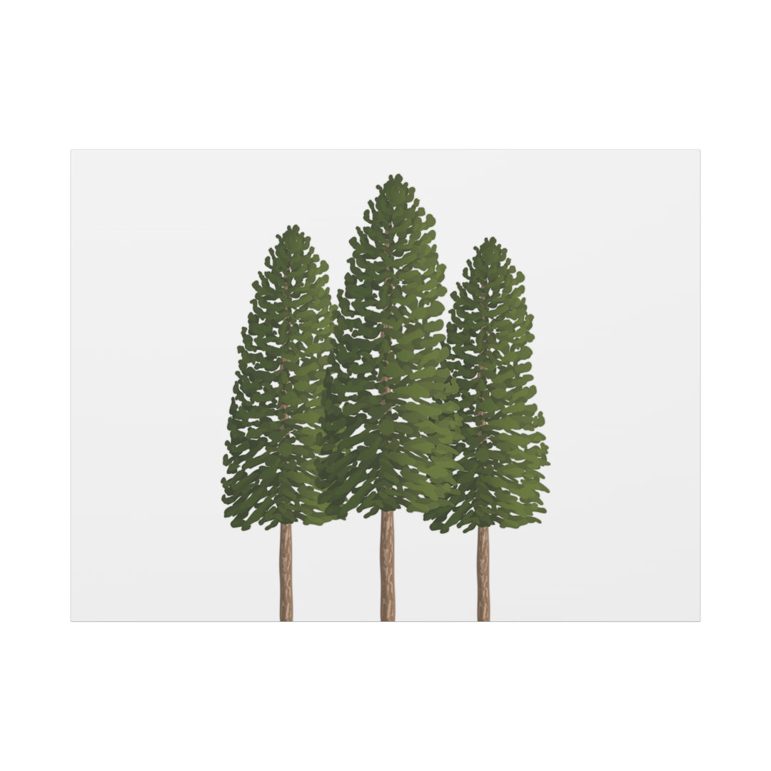 Three Ponderosa Pine Canvas Wall Art Matte Stretched Print Minimalist Forest Landscape Decor